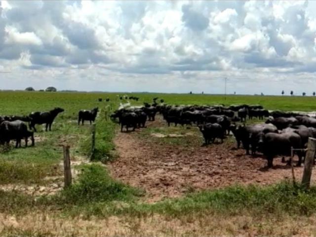 Propiedad en venta en San Fernando De Apure, Apure