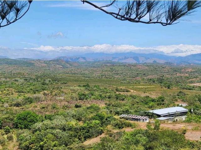 Cortijo de alto standing en venta San Francisco, Provincia de Veraguas