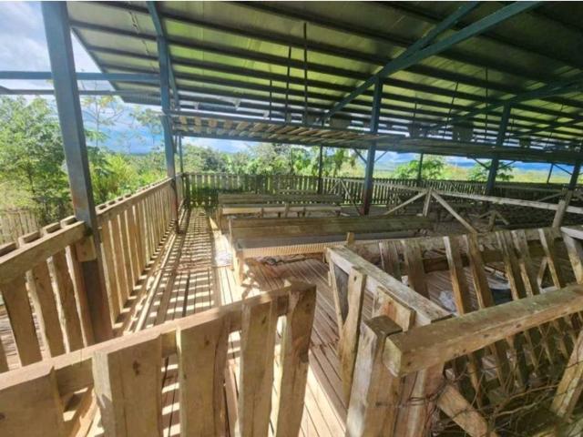 Cortijo de alto standing en venta San Francisco, Provincia de Veraguas