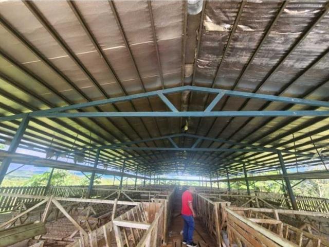 Cortijo de alto standing en venta San Francisco, Provincia de Veraguas