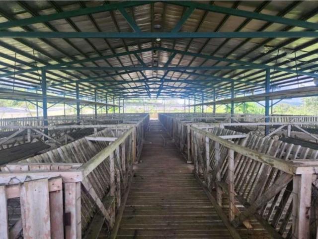 Cortijo de alto standing en venta San Francisco, Provincia de Veraguas
