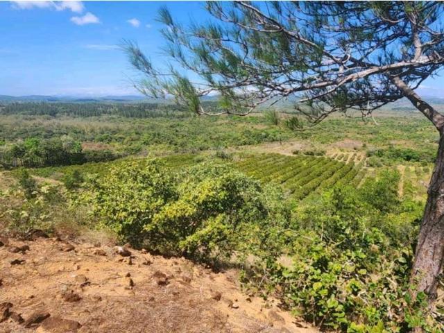Cortijo de alto standing en venta San Francisco, Provincia de Veraguas