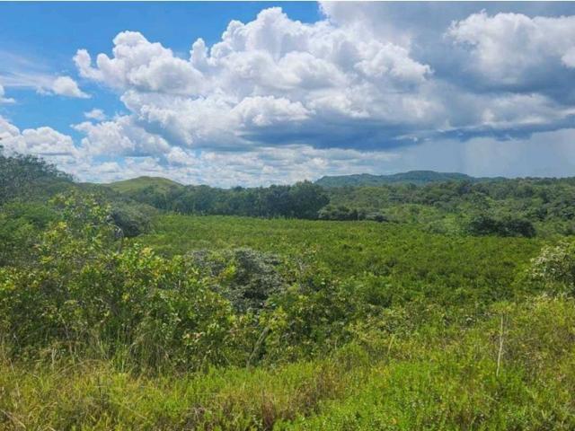 Cortijo de alto standing en venta San Francisco, Provincia de Veraguas