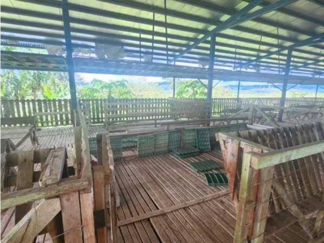 Cortijo de alto standing en venta San Francisco, Provincia de Veraguas
