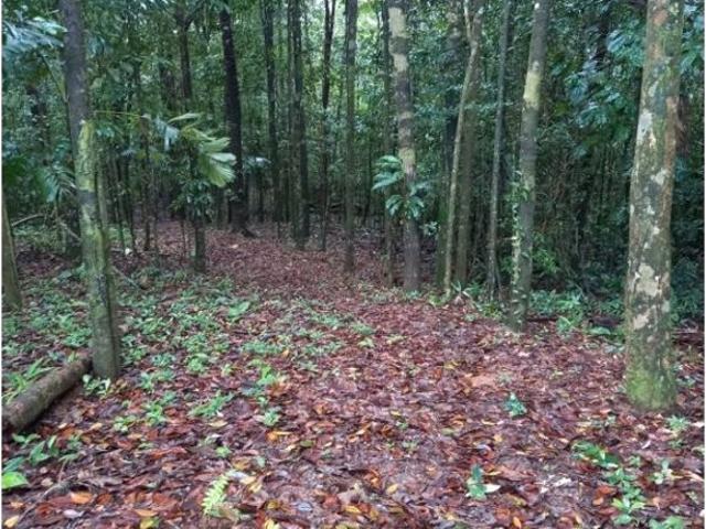 Cortijo de alto standing en venta San Isidro, Panamá