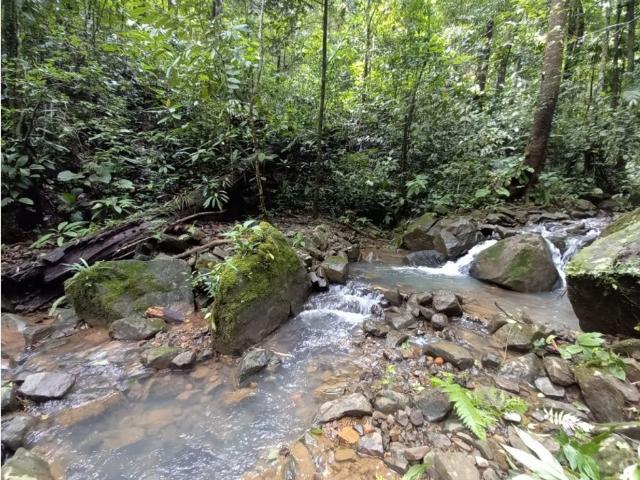 Cortijo de alto standing en venta San Isidro, Panamá