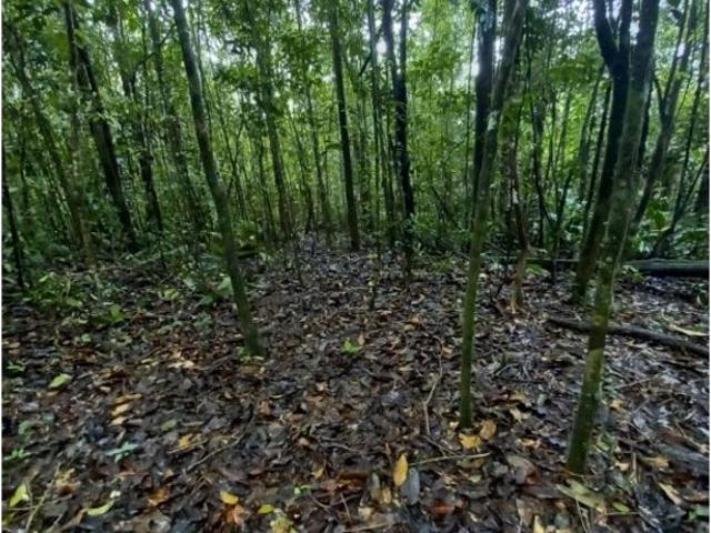 Cortijo de alto standing en venta San Isidro, Panamá
