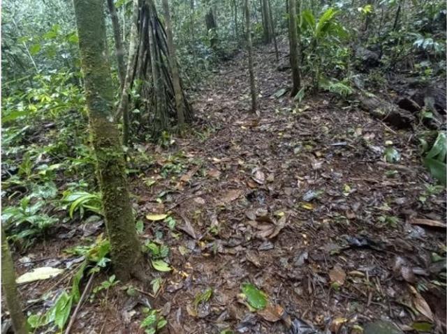Cortijo de alto standing en venta San Isidro, Panamá