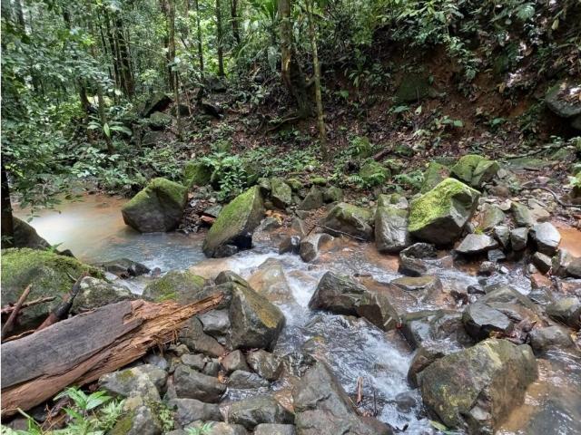Cortijo de alto standing en venta San Isidro, Panamá