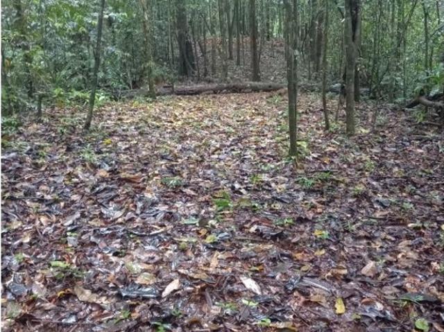Cortijo de alto standing en venta San Isidro, Panamá
