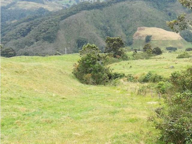 Finca en venta en Antioquia, San José De La Montaña