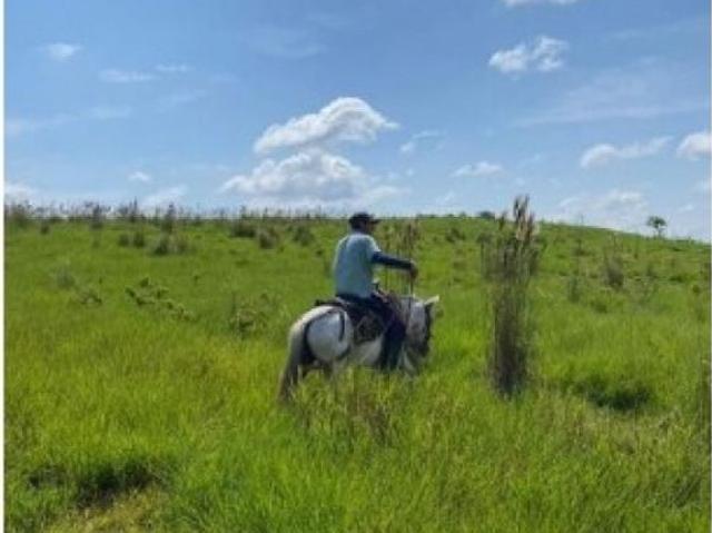 Cortijo de alto standing en venta San José del Fragua, Departamento del Caquetá
