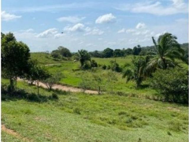 Cortijo de alto standing en venta San José del Fragua, Departamento del Caquetá