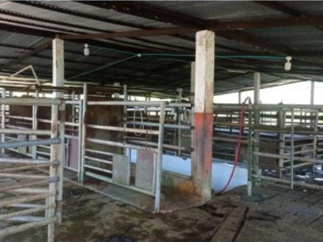 Cortijo de alto standing en venta San José del Fragua, Departamento del Caquetá