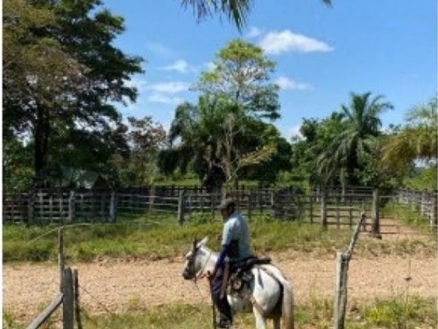 Cortijo de alto standing en venta San José del Fragua, Departamento del Caquetá