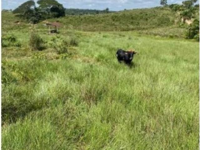 Cortijo de alto standing en venta San José del Fragua, Departamento del Caquetá