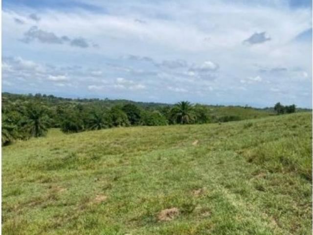 Cortijo de alto standing en venta San José del Fragua, Departamento del Caquetá