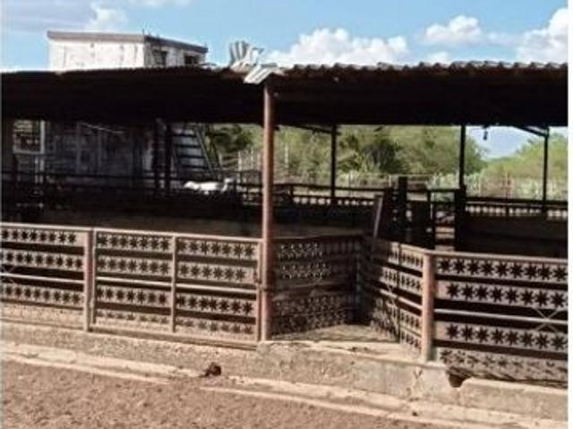 Propiedad en venta en Roscio, Guárico