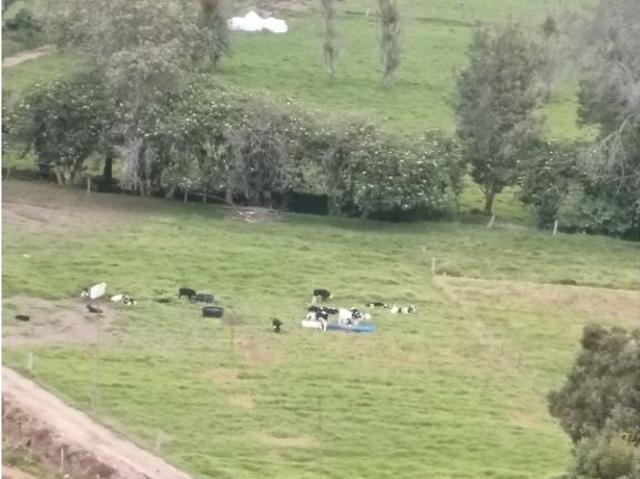 Finca en venta en Boyacá, Occidente