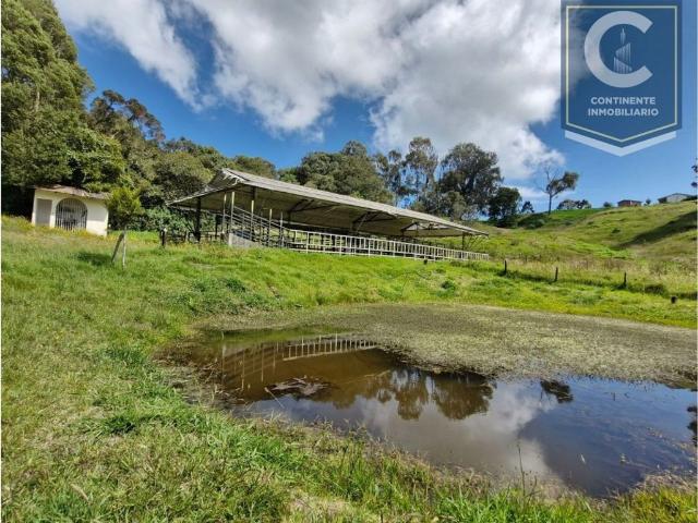Finca en venta en Antioquia, San Pedro de los Milagros