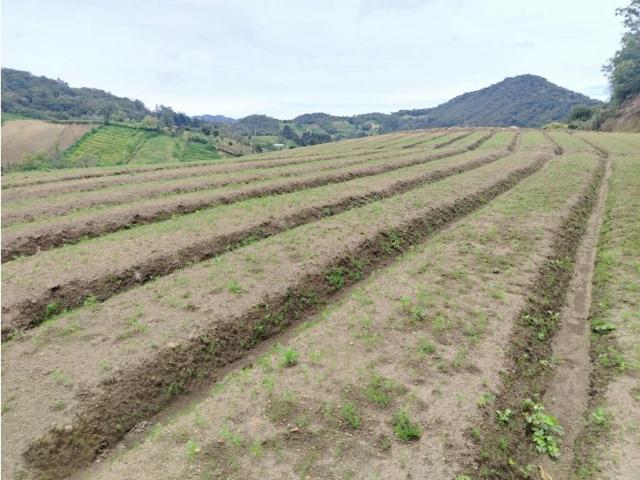 Finca en venta en Antioquia, Oriente