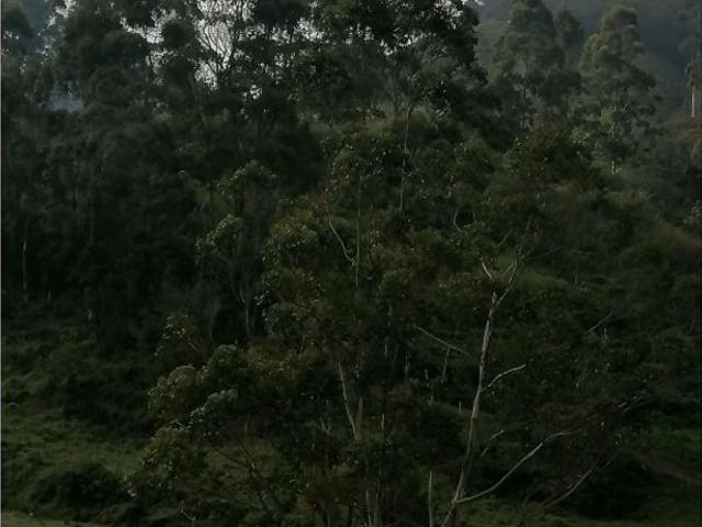 Cortijo de alto standing en venta Santuario, Colombia