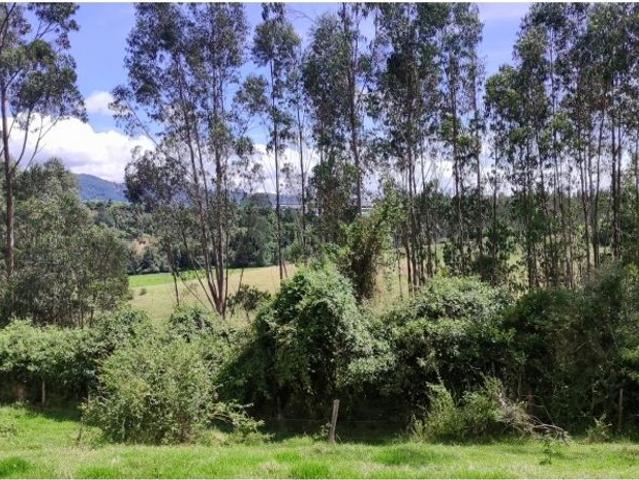 Cortijo de alto standing en venta Sesquilé, Colombia