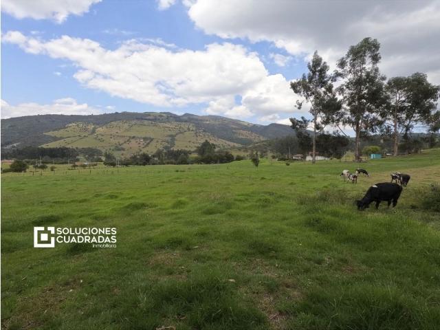 Cortijo de alto standing en venta Sesquilé, Cundinamarca