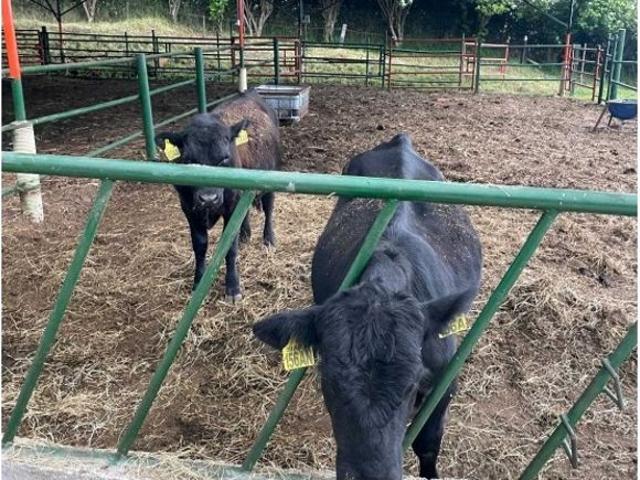 Cortijo de alto standing en venta Sesquilé, Cundinamarca
