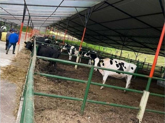 Cortijo de alto standing en venta Sesquilé, Cundinamarca