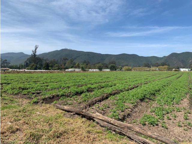 Finca en venta en Cundinamarca