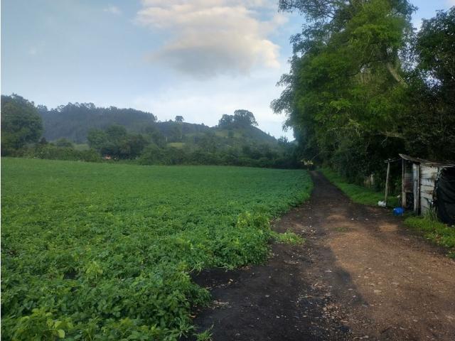Finca en venta en Cundinamarca