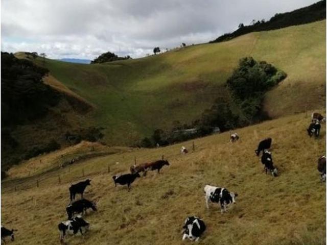Finca en venta en Cundinamarca