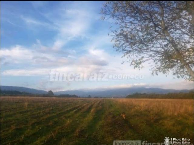 Finca en venta en Cundinamarca