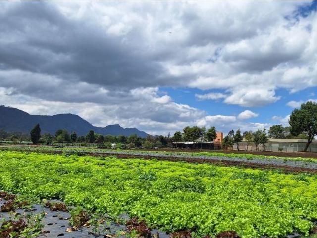Finca en venta en Cundinamarca