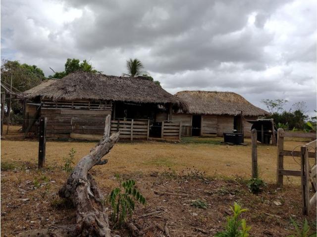 Finca en venta en Córdoba