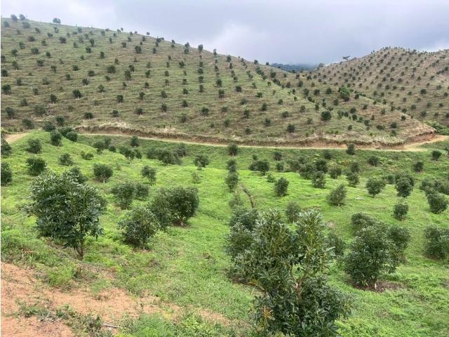 Finca en venta en Trujillo, Valle Del Cauca