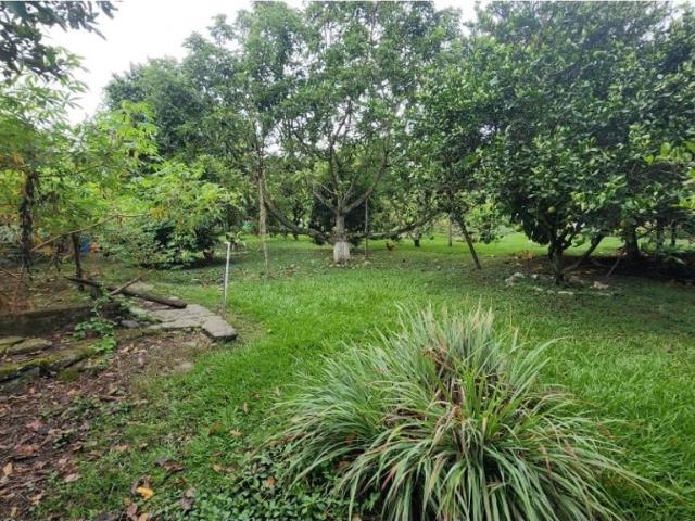 Finca en venta en Tuluá, Centro
