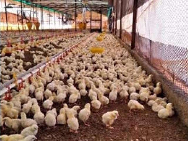 Propiedad en venta en Valencia, Carabobo