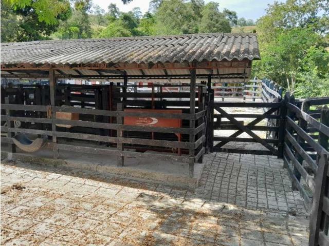 Finca en venta en Antioquia, Suroeste