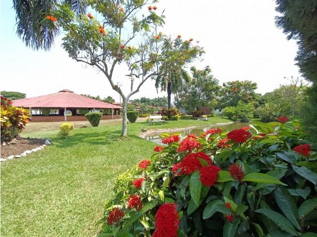 Finca en venta en Villa Rica, Cauca