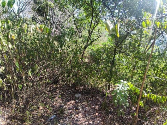 Cortijo de alto standing en venta Villeta, Colombia