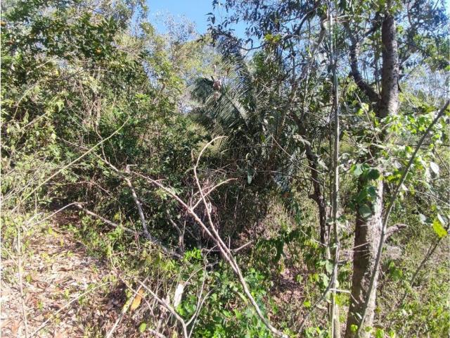 Cortijo de alto standing en venta Villeta, Colombia