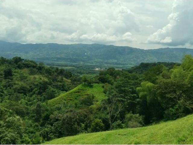 Finca en venta en Caldas, Viterbo
