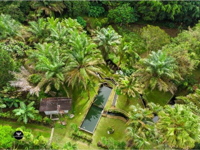 Cortijo de alto standing en venta Volcán, Panamá