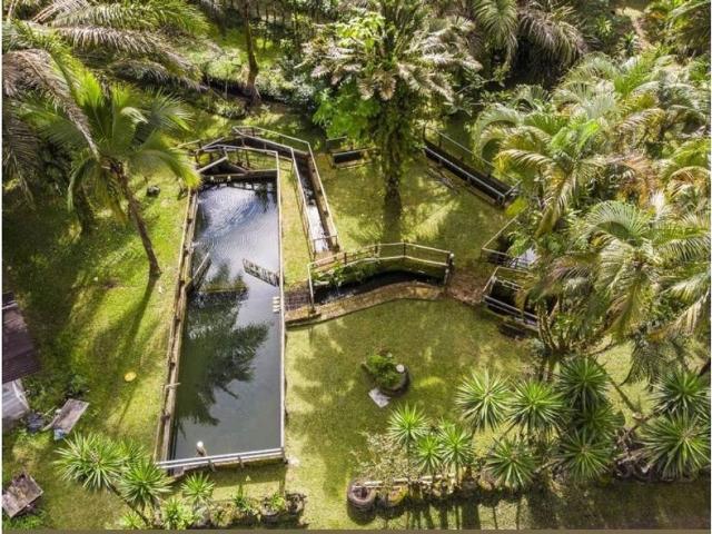 Cortijo de alto standing en venta Volcán, Panamá