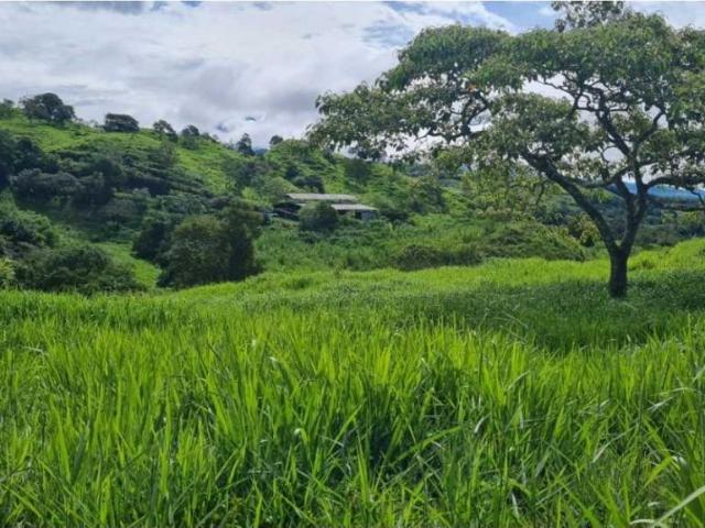 Cortijo de alto standing en venta Volcán, Provincia de Chiriquí