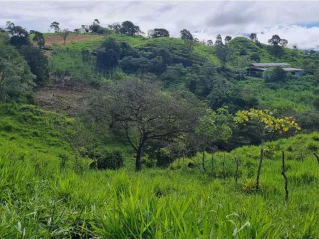 Cortijo de alto standing en venta Volcán, Provincia de Chiriquí