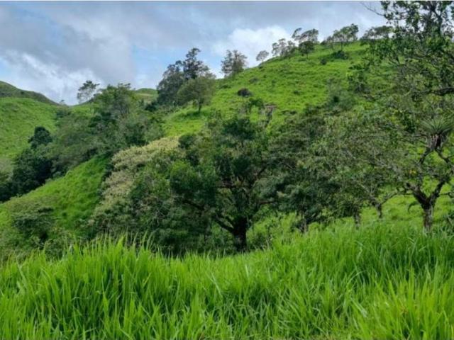Cortijo de alto standing en venta Volcán, Provincia de Chiriquí