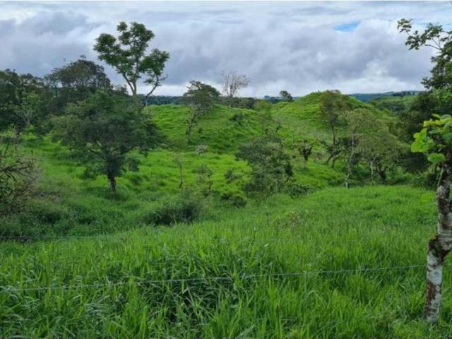 Cortijo de alto standing en venta Volcán, Provincia de Chiriquí